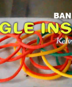 KELVIN TRINH - BANDARIOUS : SINGLE INSANE