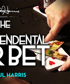 Paul Harris - The Vault - The Transcendental Bar Bet