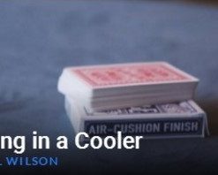 Ringing in a Cooler by Paul Wilson