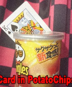 TEJINAYA - CARD IN POTATO CHIPS