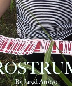 JARED ARROYO - ROSTRUM