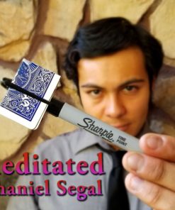 Premeditated by Nathaniel Segal (Instant Download)