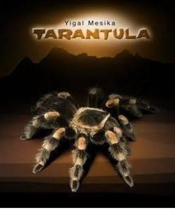 Yigal Mesika - Tarantula