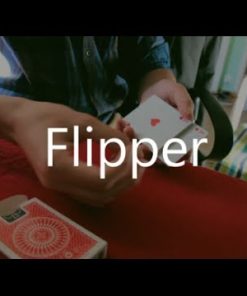 Alan Borg - Flipper