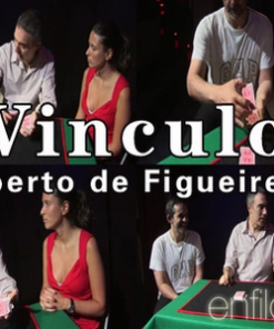 Alberto de Figueiredo - Vinculo