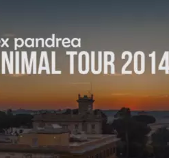 Alex Pandrea - Minimal Tour 2014
