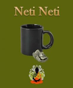 Neti Neti by Sudo Nimh