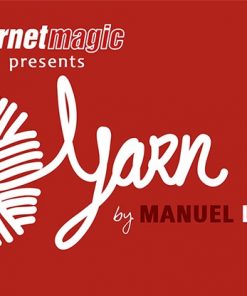 The Yarn by Manuel LLaser