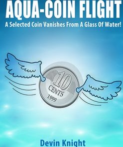 Aqua-Coin Flight by Devin Knight