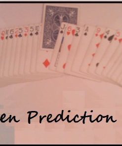 Open Prediction by Tommaso Guglielmi