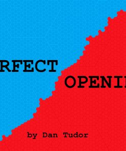 Perfect Opening by Dan Tudor