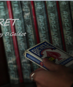 Secret by D.Galdot