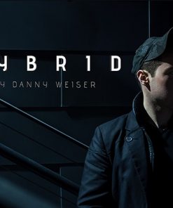 HYBRID by Danny Weiser