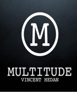 Multitude by Vincent Hedan