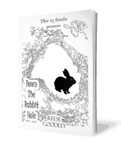 Down The Rabbit Hole By Reese Goodley