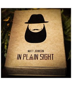 In Plain Sight by Matt Johnson