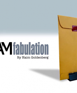 Haim Goldenberg - CAMfabulation