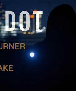 The DOT by Peter Turner and Pigcake