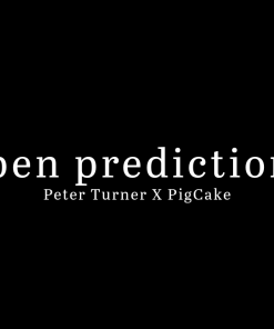 Open Predictions by Peter Turner and Pigcake