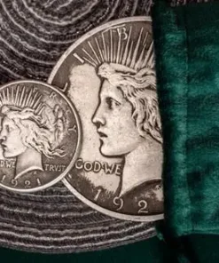 Jumbo Peace Dollar by N2G