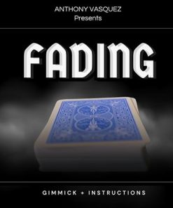 Fading by Anthony Vasquez