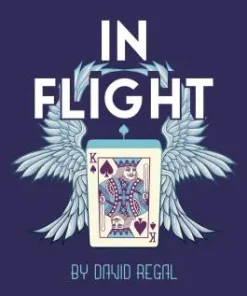 In Flight by David Regal