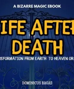Life After Death by Dominicus Bagas
