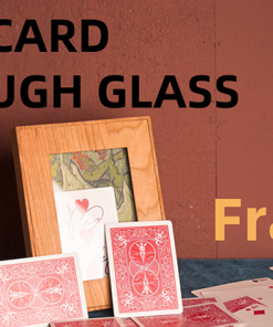Yang Lei - Real Card Through Glass (Frame)
