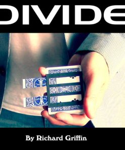 Divide by Richard Griffin