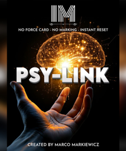 PSY-LINK by Marco Markiewicz