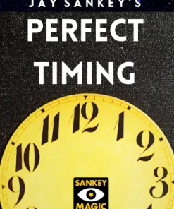 Jay Sankey - Perfect Timing