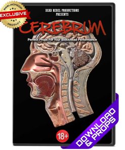 Cerebrum by Dead Rebel