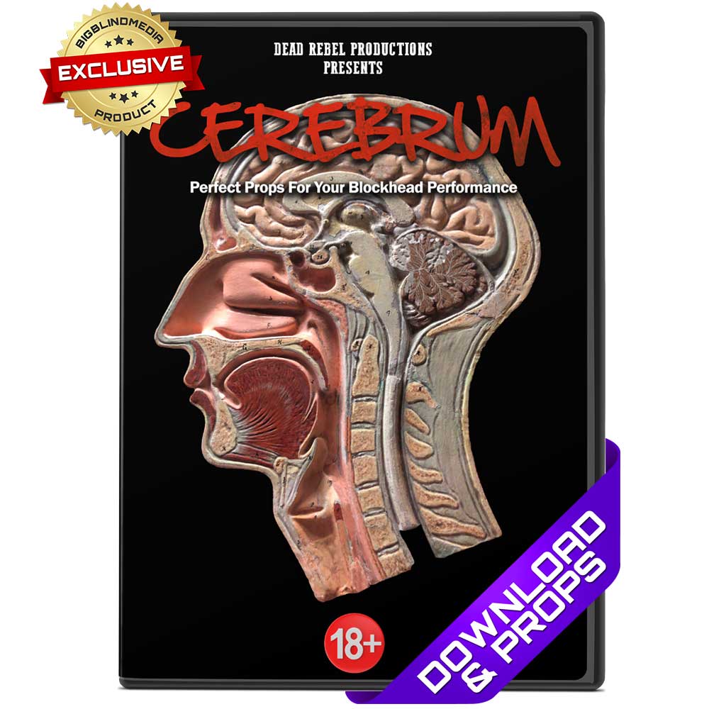 Cerebrum by Dead Rebel