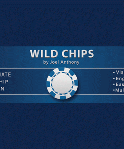 Wild Chips by Joel Anthony