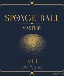 Sponge Ball Mastery Level 1 by Xulio Merino