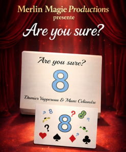 Are You Sure by Damien Vappereau and Marc Celiandre