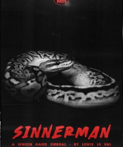 Sinnerman By Lewis Le Val