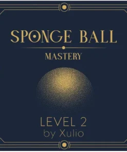 Sponge Ball Mastery Level 2 by Xulio Merino