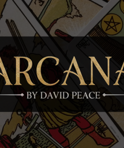Arcana by David Peace