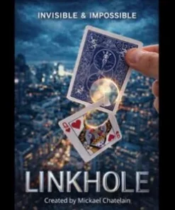 LINKHOLE by Mickael Chatelain (English+French)