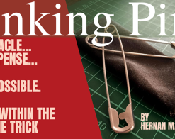 Linking Pins by Hernan Maccagno