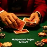 Multiple Shift Project By Miku W