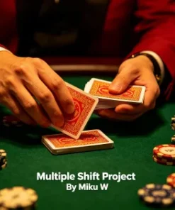 Multiple Shift Project By Miku W