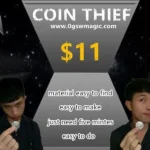 Coin thief by owen